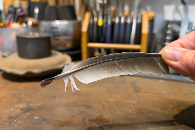 plume coupée pour fabriquer un pinceau à borax