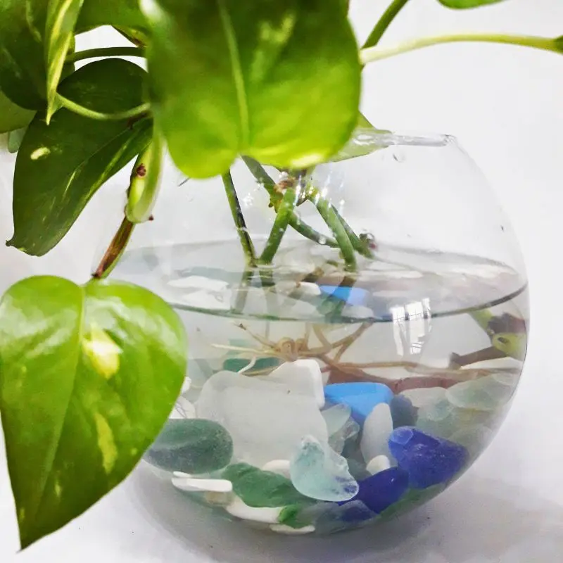 verre de mer decoration